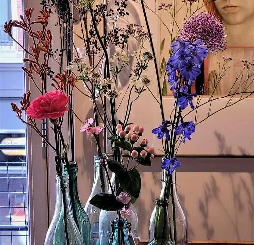 Rijksmonument Appelsteiger Bed and Breakfast Ντόρντρεχτ